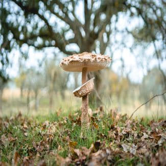 Nieuwe data over klimaat, natuur en milieu in het Dashboard Duurzaamheid